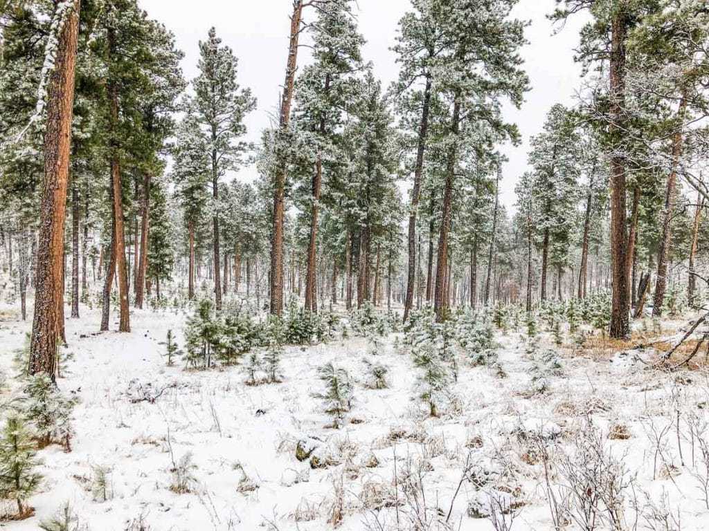 Snow In The Hills 2 1024x768