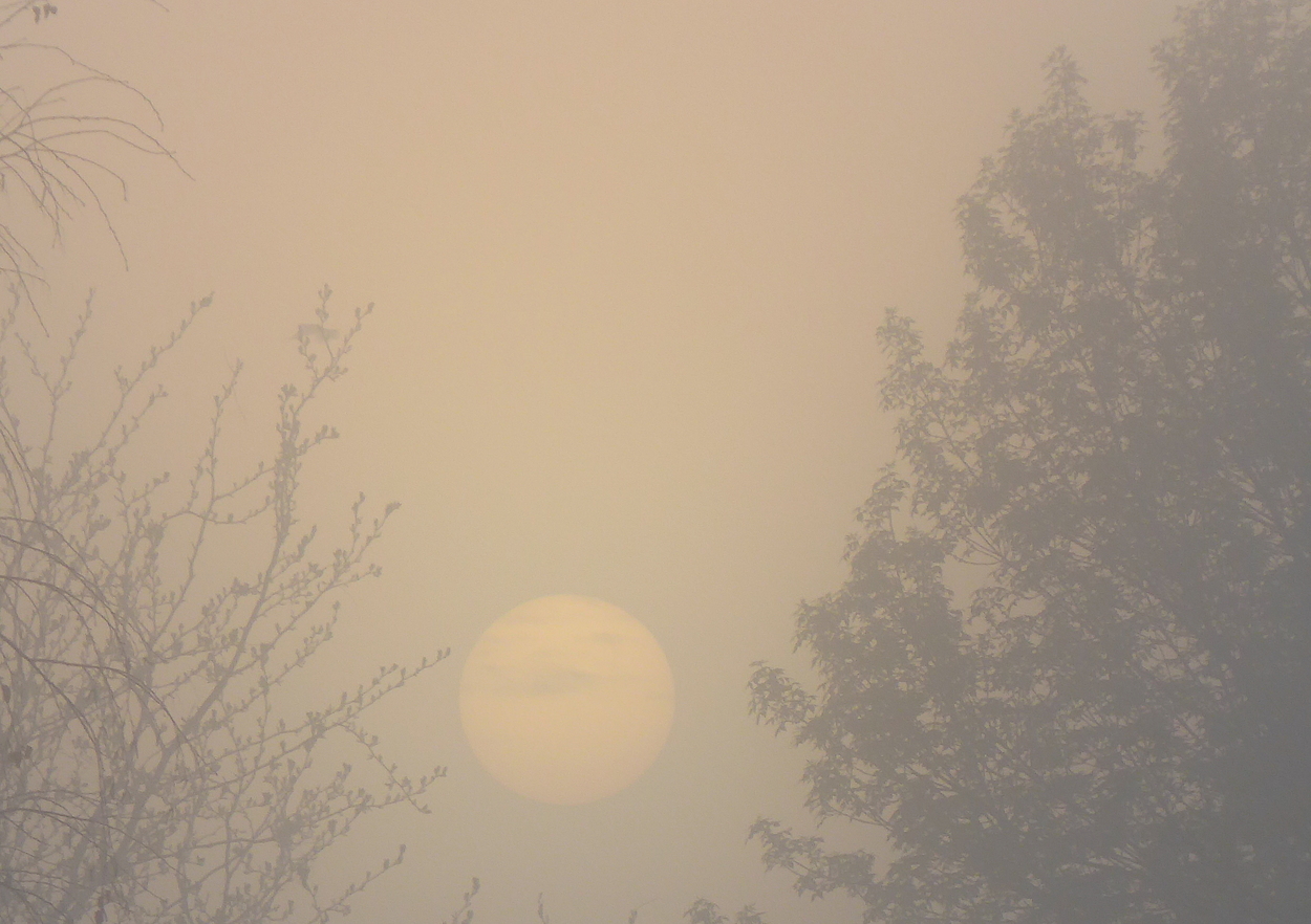 Smoky Sun