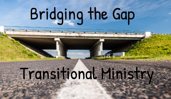 Transitional Ministry